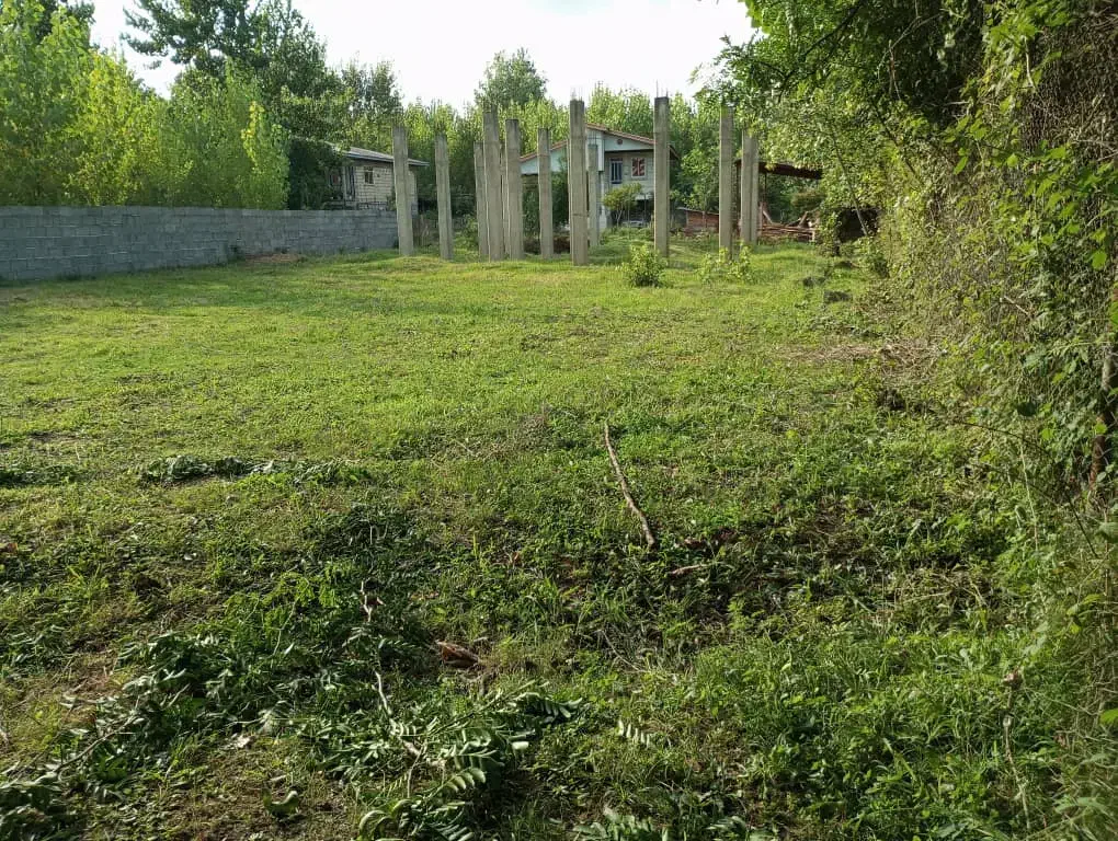 500متر زمین سند تک برگ با پروانه شاخت|فروش زمین و ملک کلنگی|شاندرمن, |دیوار