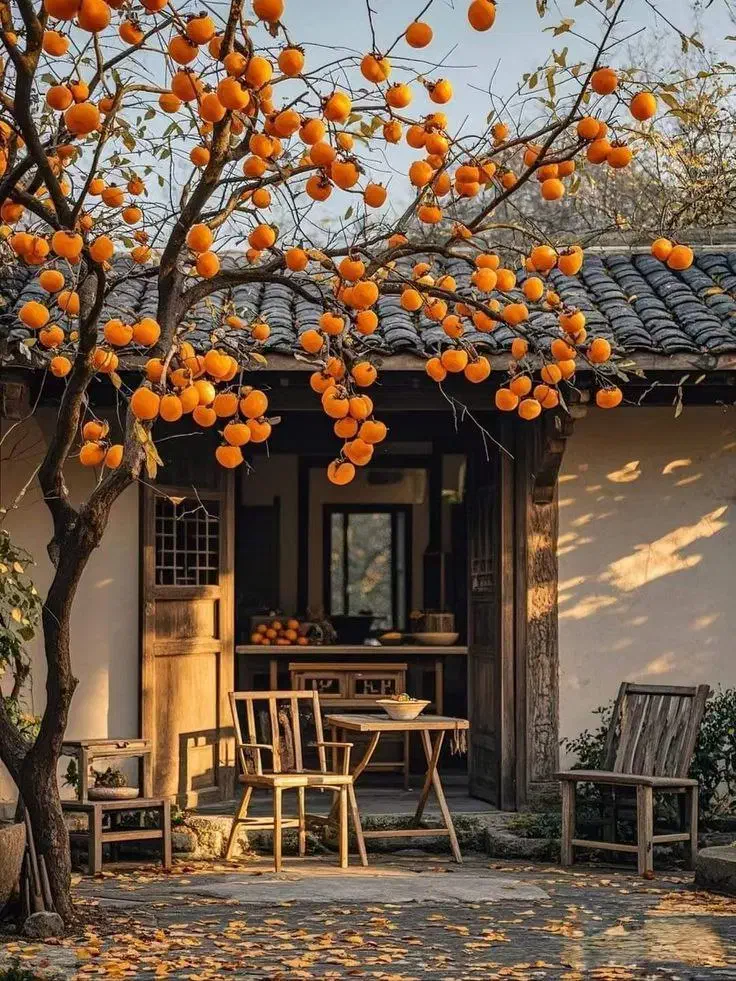 امیر آباد مستغلات 5 طبقه تکواحدی نوساز 1160 متر|فروش آپارتمان|تهران, امیرآباد|دیوار