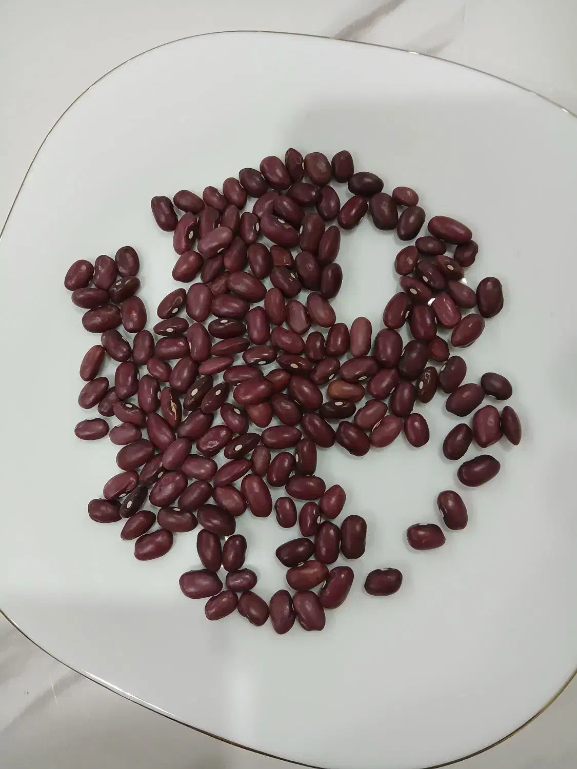 لوبیا قرمز|خوردنی و آشامیدنی|قرچک, میرزائی شمالی|دیوار