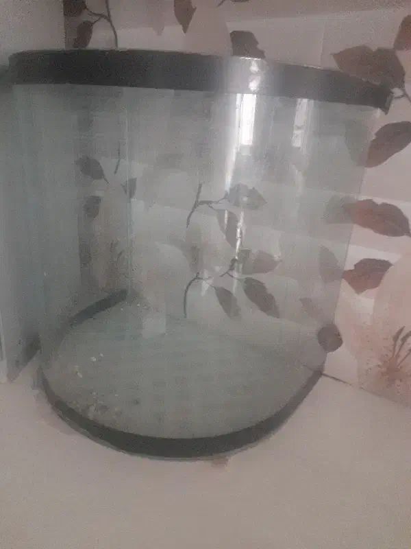 آکواریم|ماهی|مشهد, کارمندان دوم|دیوار