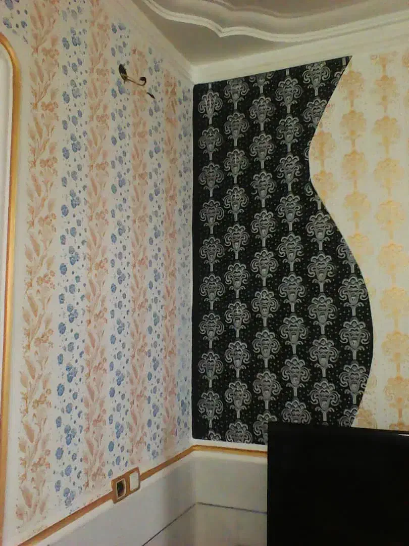 رنگ آمیزی ساختمان فوق|خدمات پیشه و مهارت|زابل, |دیوار