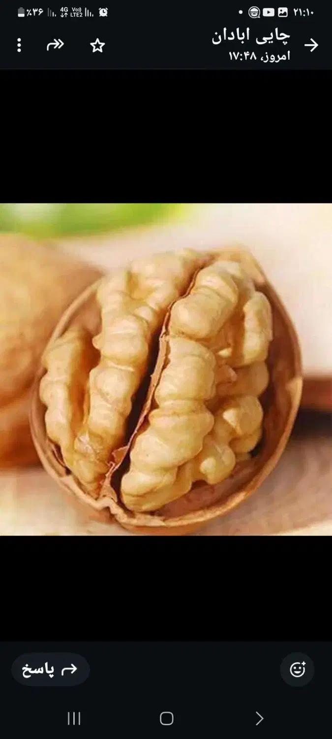 گردوی خارجی درجه یک|خوردنی و آشامیدنی|مشهد, ایثار|دیوار