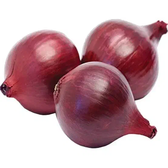 پیاز قرمز|خدمات باغبانی و درختکاری|نقده, |دیوار