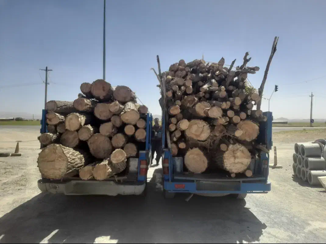 خرید انواع چوب|خدمات باغبانی و درختکاری|اراک, |دیوار