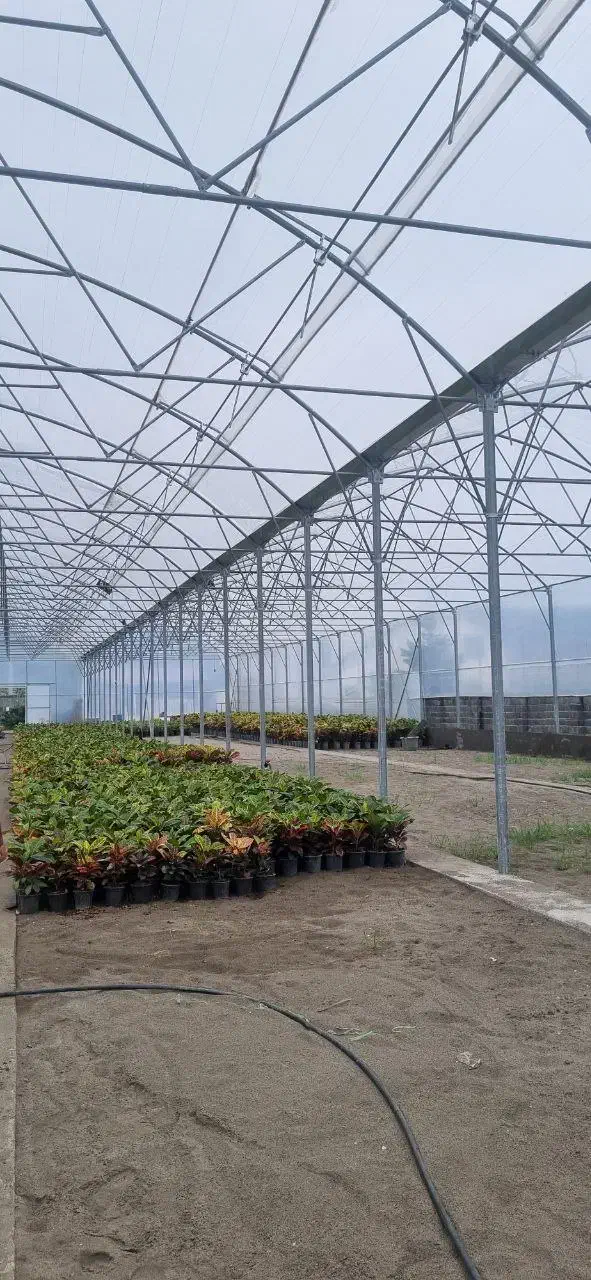 مشاوره و ساخت گلخانه های صنعتی|خدمات پیشه و مهارت|اراک, |دیوار