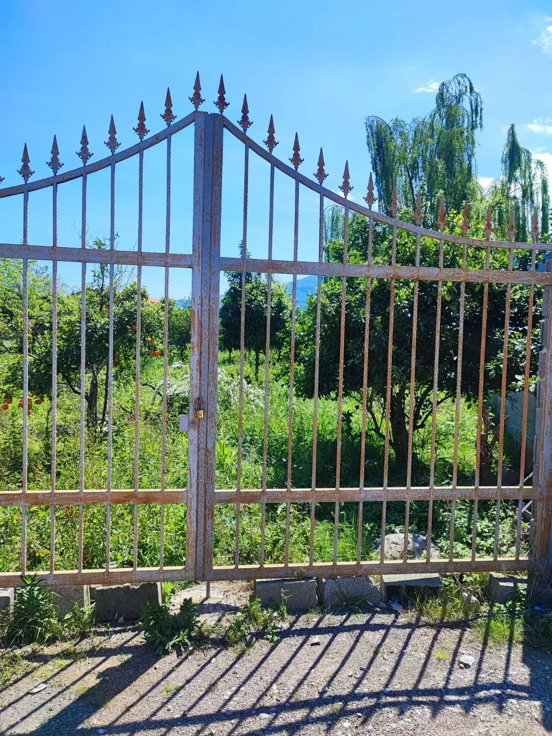 زمینی به مساحت 930 متر بندبن|فروش زمین و ملک کلنگی|چابکسر, |دیوار