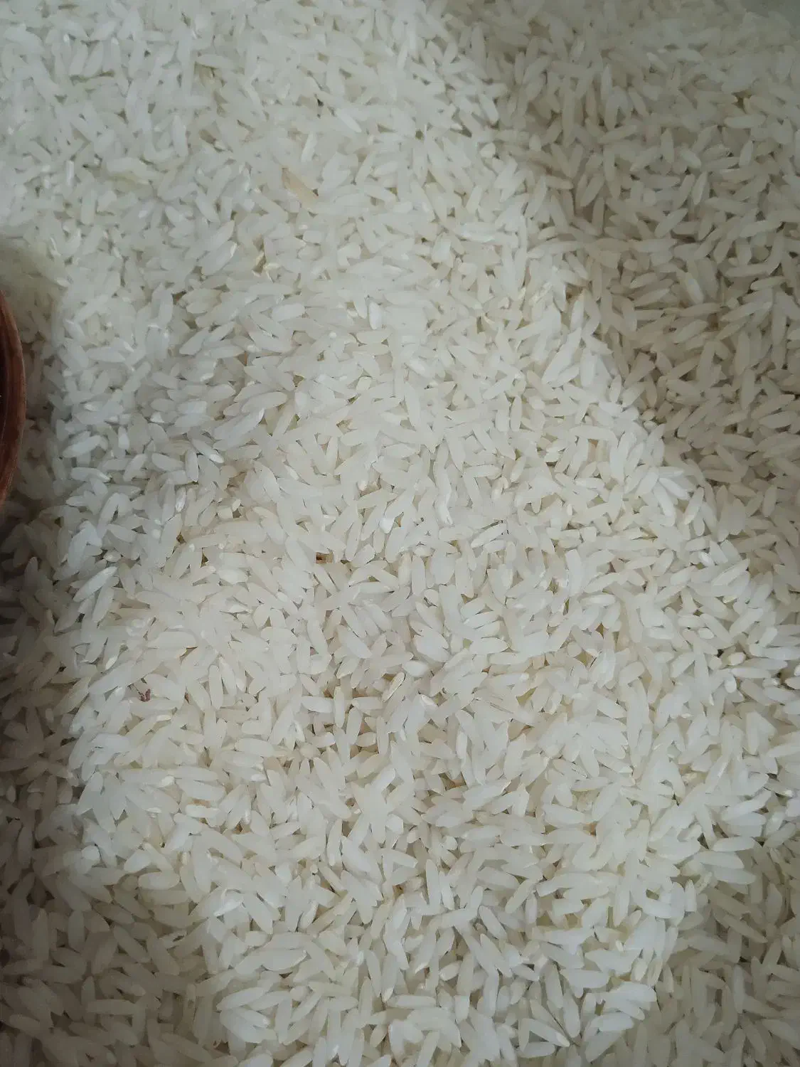 برنج محلی|خوردنی و آشامیدنی|زاغه, |دیوار