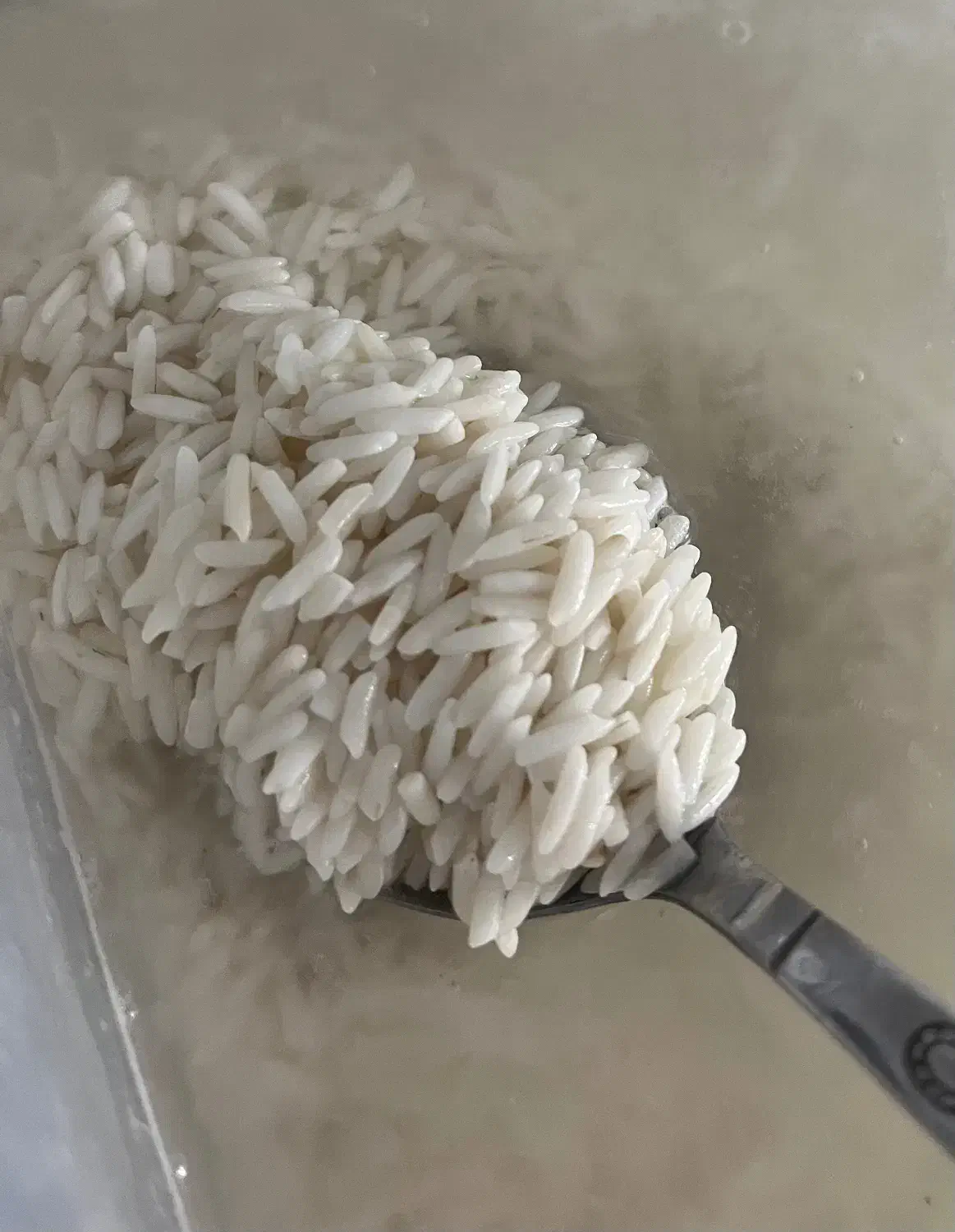 برنج طارم سرگل پایینترین قیمت بازار|خوردنی و آشامیدنی|یزد, |دیوار