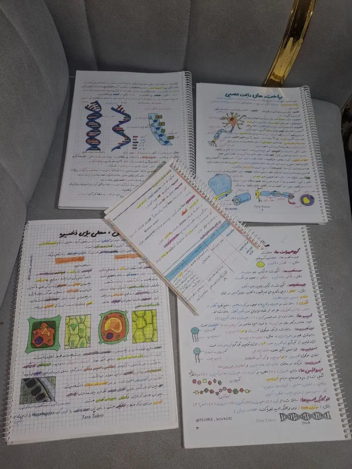 جزوه تصویری زیست کامل با تمام جزئیات ترکیبی|کتاب و مجله آموزشی|دهدشت, |دیوار