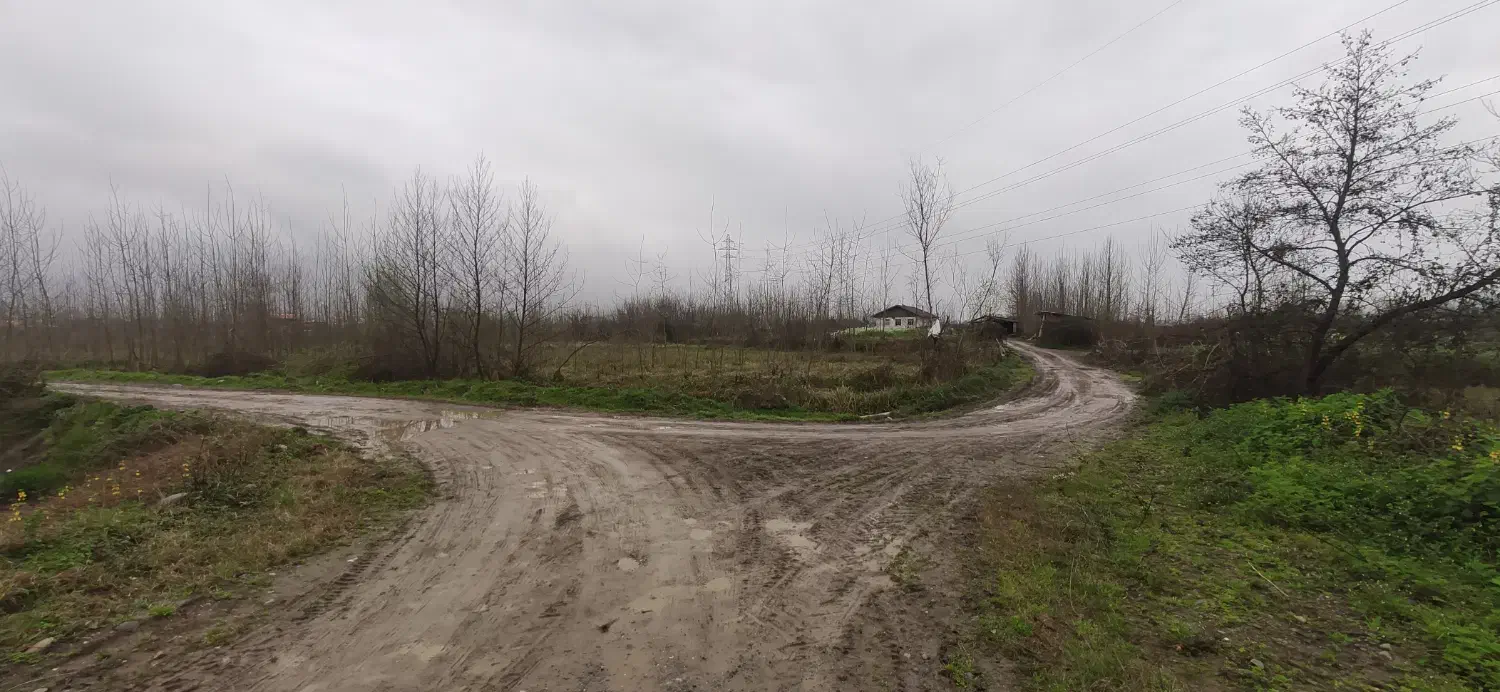 فروش زمین|فروش زمین و ملک کلنگی|رشت, احمد گوراب|دیوار