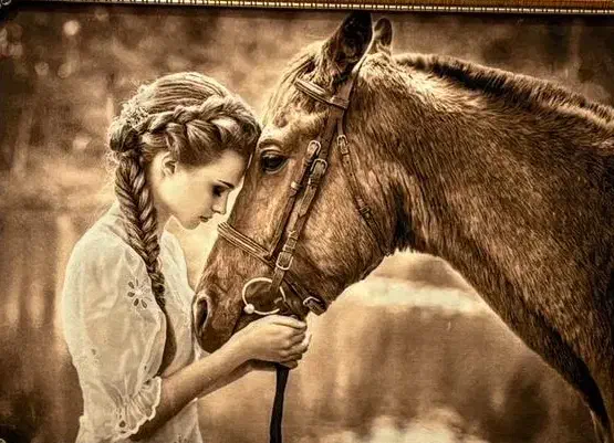 تابلوفرش طرح دختر و اسب|تابلو فرش|بروجرد, |دیوار