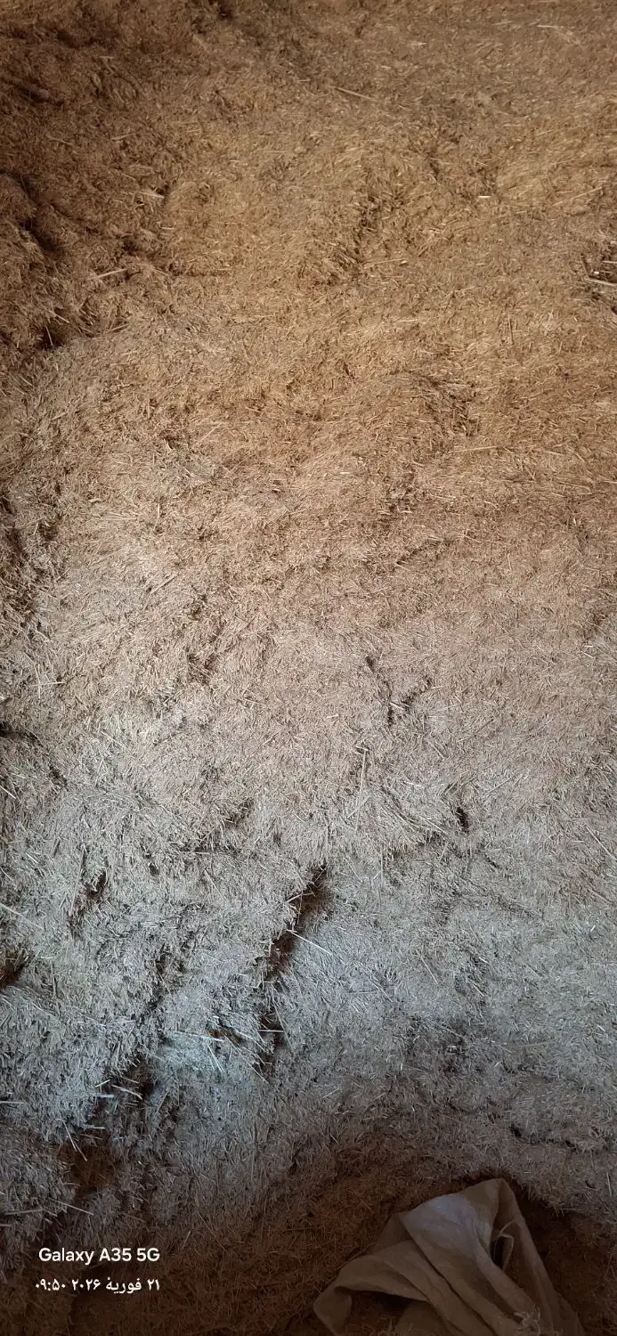 کاه گندم|لوازم جانبی حیوانات|بزینه رود, |دیوار