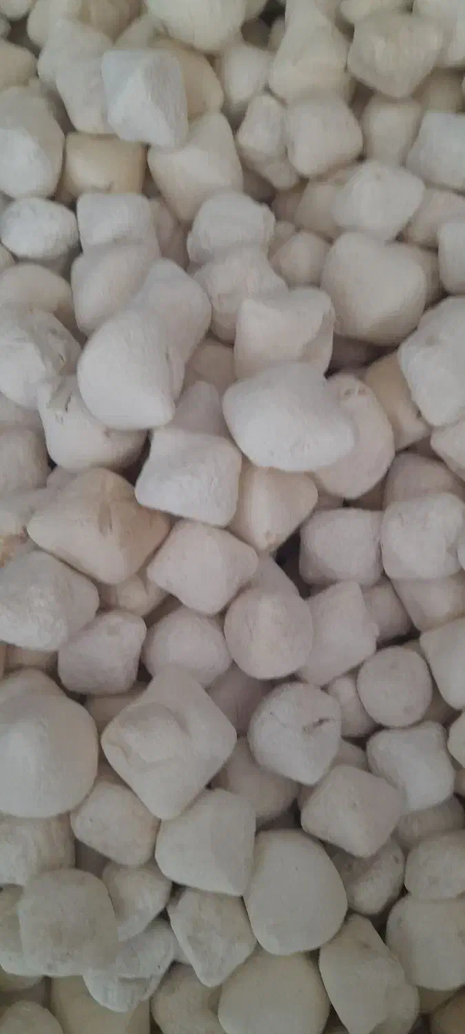 گردو کاغذی|خوردنی و آشامیدنی|رفسنجان, |دیوار