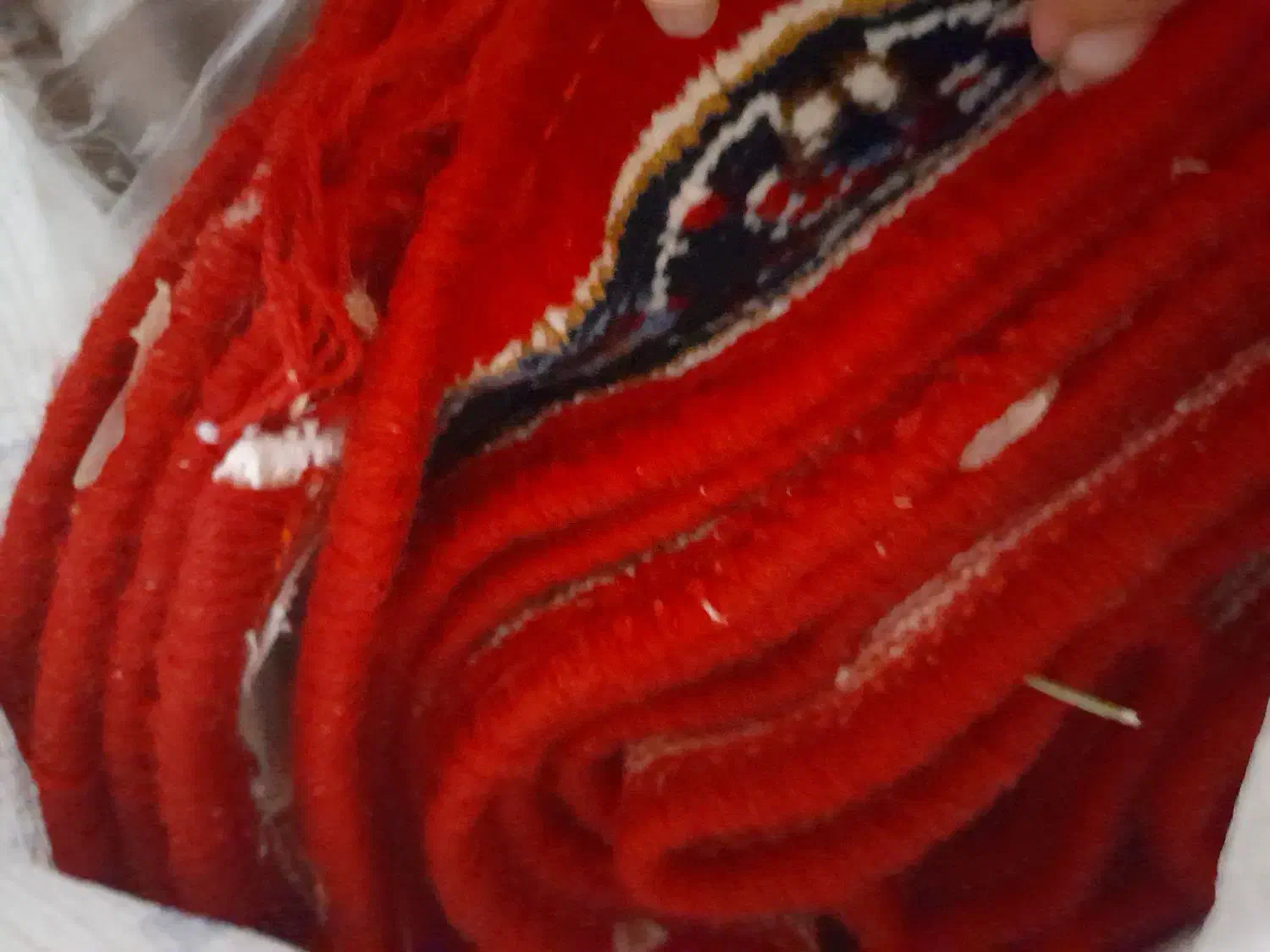 وکناره ۵متر واکواریوم سالم وتمیز|مبلمان خانگی و میز عسلی|تربتحیدریه, بالا ولایت|دیوار