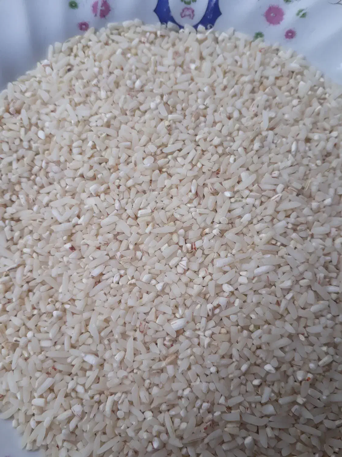 نیم دانه هاشمی|خوردنی و آشامیدنی|رشت, پل تالشان|دیوار
