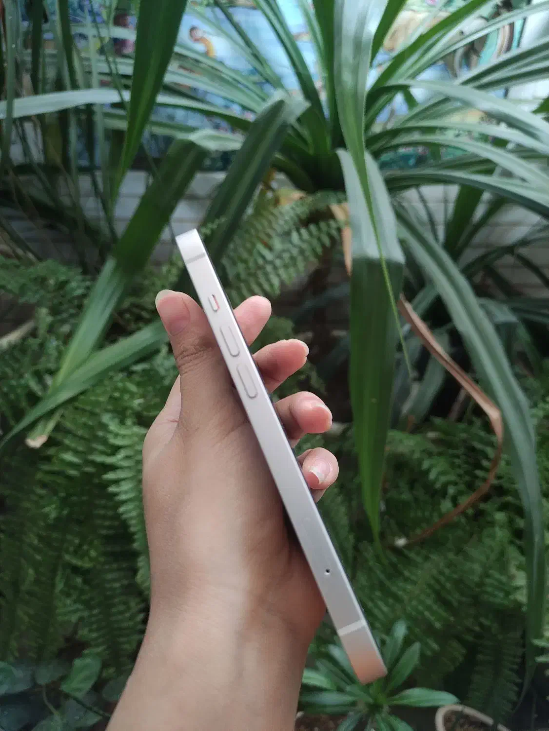 آیفون ۱۳نرمال در حد نو|موبایل|اصفهان, امیرعرب|دیوار