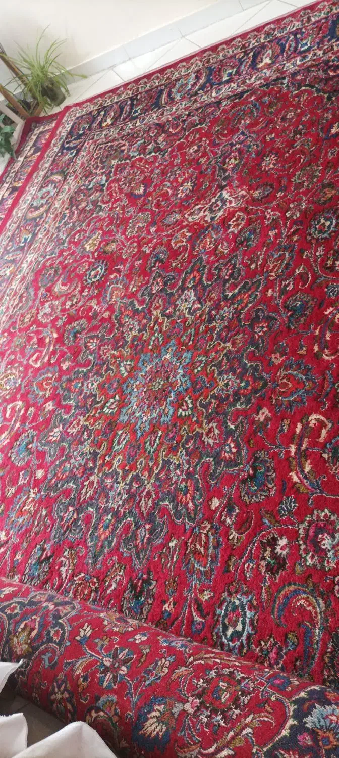 فرش دستباف مشهد|فرش|مشهد, صیاد شیرازی|دیوار