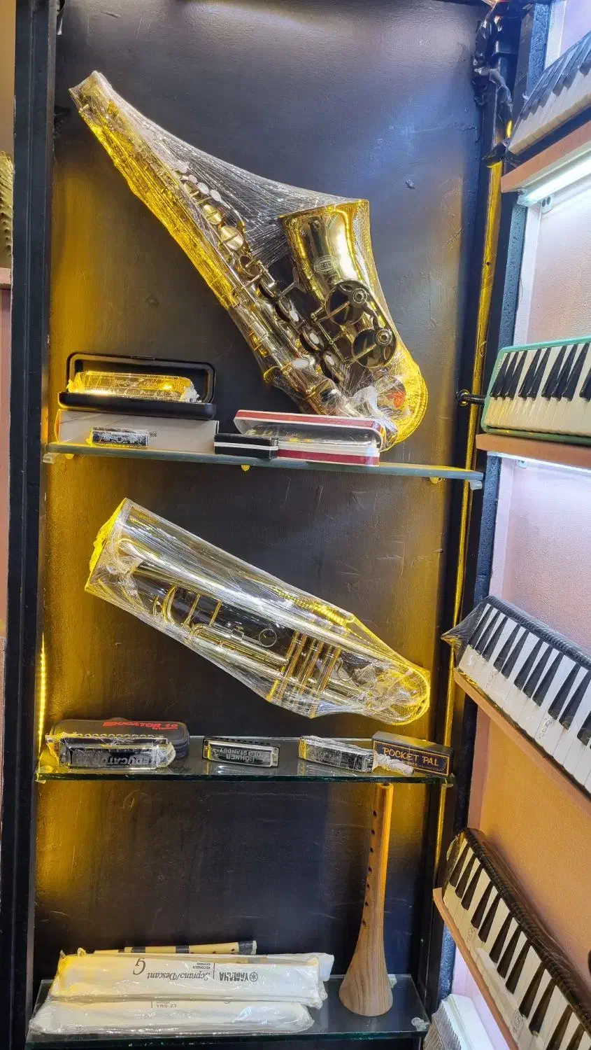 انواع سازدهنی با برندهای معتبر هوهنر و...|سازهای بادی|مشهد, آزادشهر|دیوار