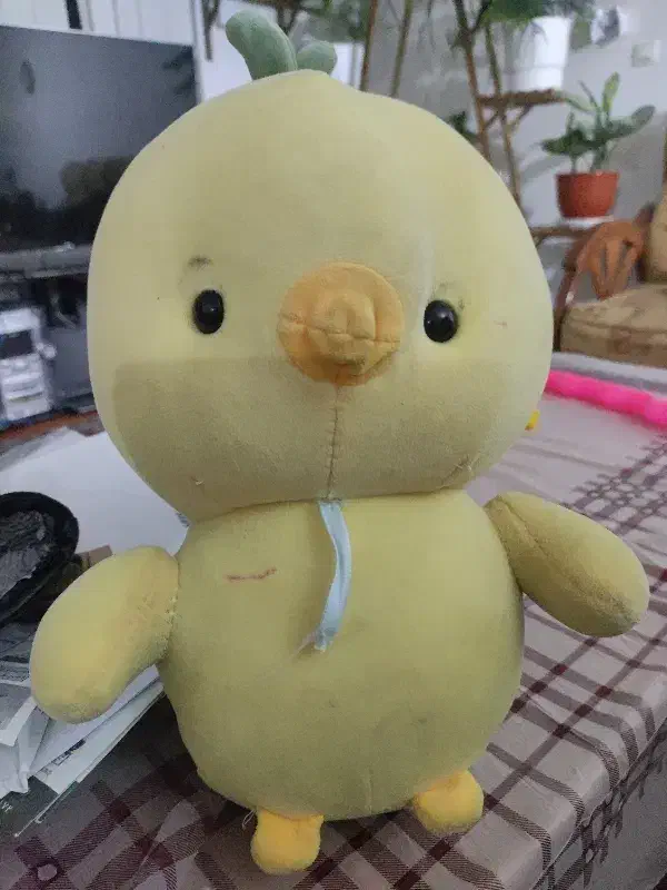 پرستار کودک|استخدام درمانی، زیبایی، بهداشتی|شیراز, شهرک گلستان|دیوار