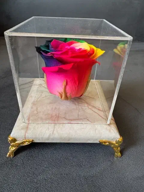 کادو رز طبیعی جاودان با ماندگاری بیش از  ۵سال|صنایع دستی و سایر لوازم تزئینی|شیراز, معالیآباد|دیوار