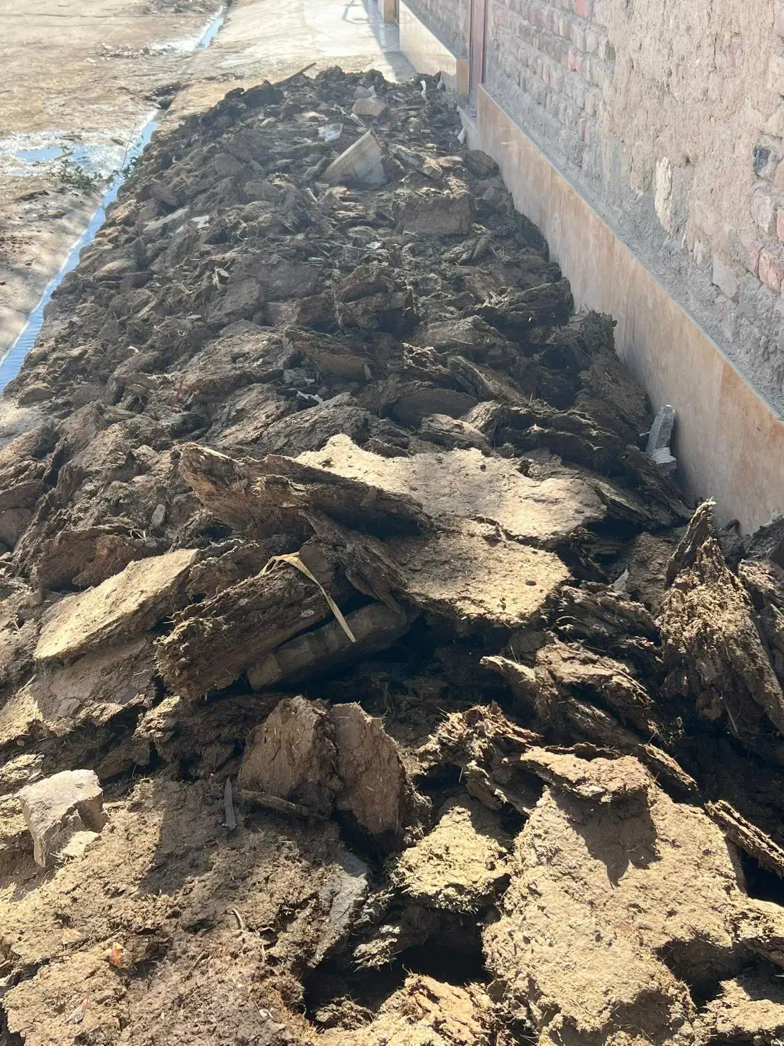 کود حیوانی(گوسفندی) رایگان|خدمات باغبانی و درختکاری|زاهدان, |دیوار