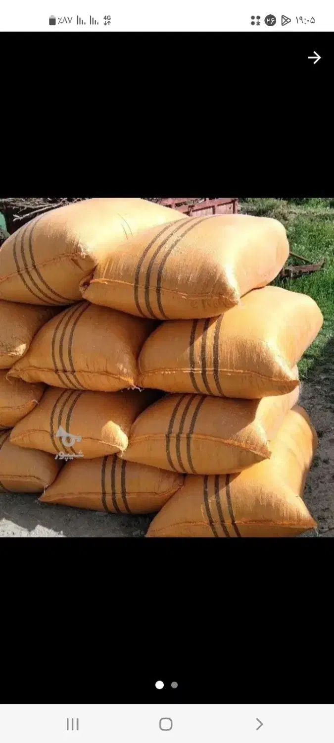 خریدار کاه هستم|خدمات باغبانی و درختکاری|ارومیه, |دیوار