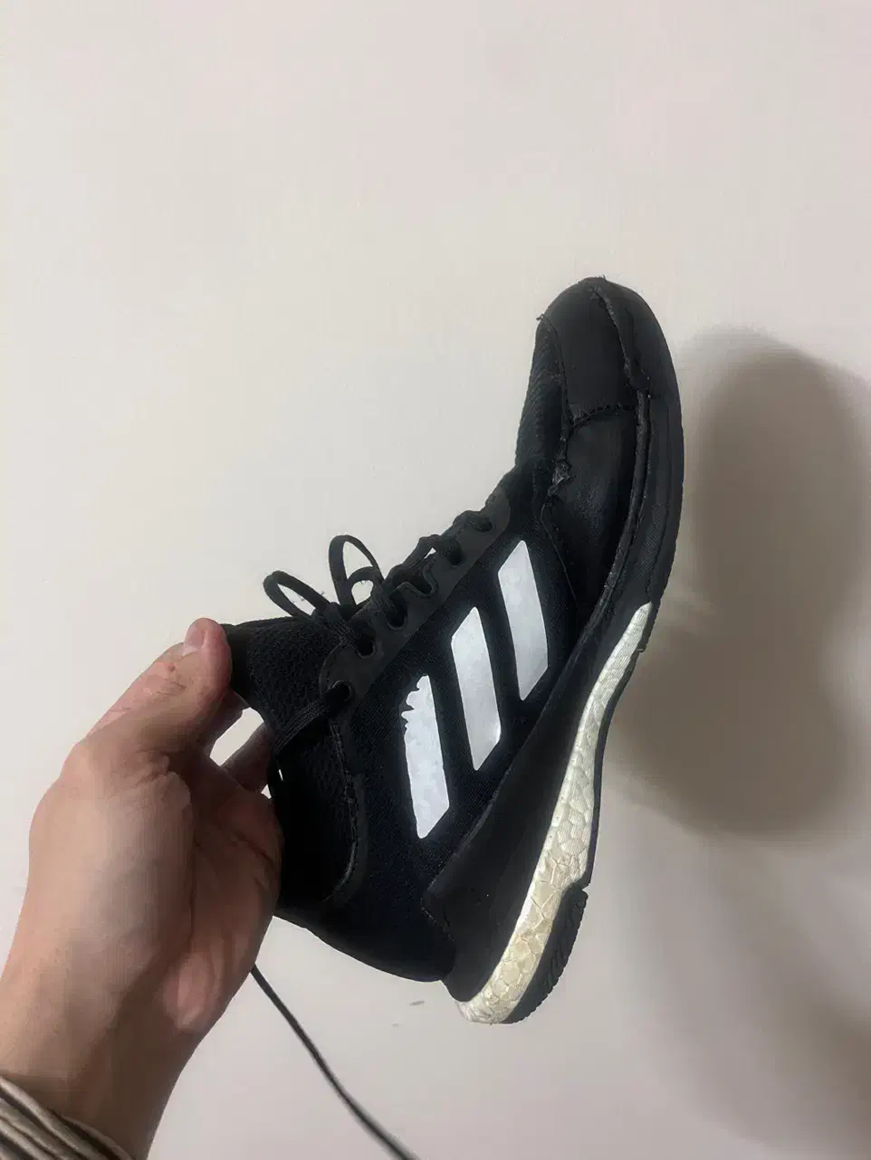 کفش اورجینال والیبال آدیداس کریزی فلایت|کیف، کفش، کمربند|اصفهان, پروین|دیوار