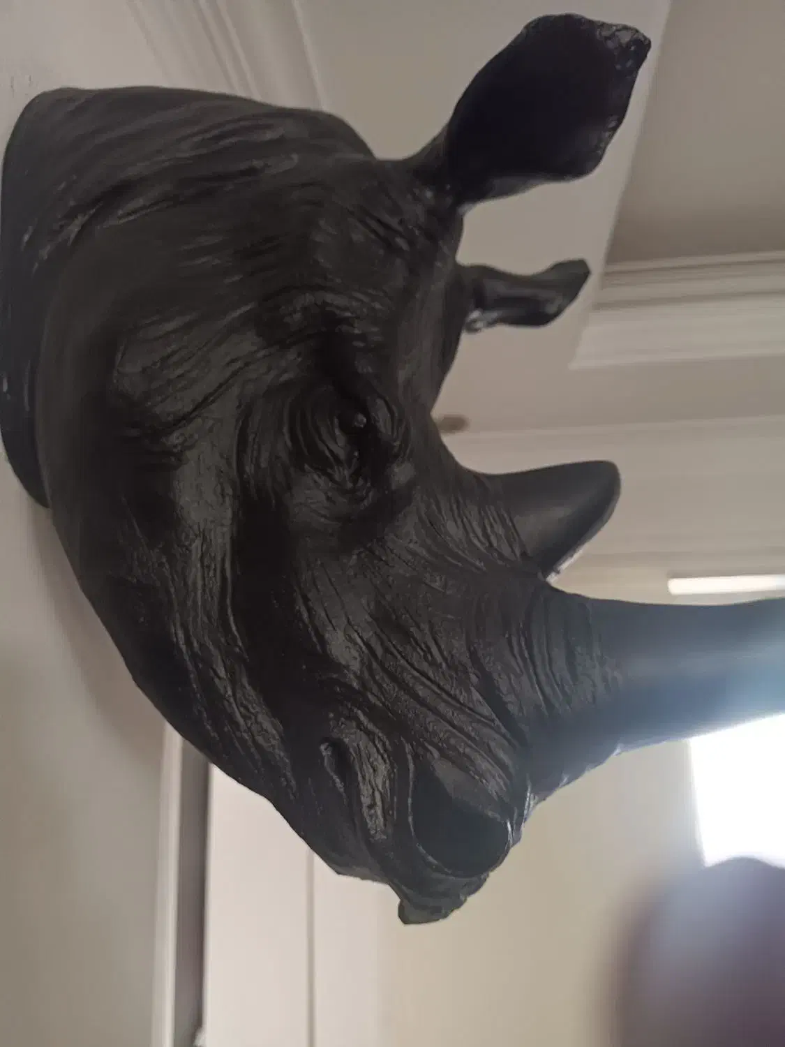 سردیس کرگدن جنس فایبرکلاس|مجسمه، تندیس، ماکت|کرج, گوهردشت|دیوار