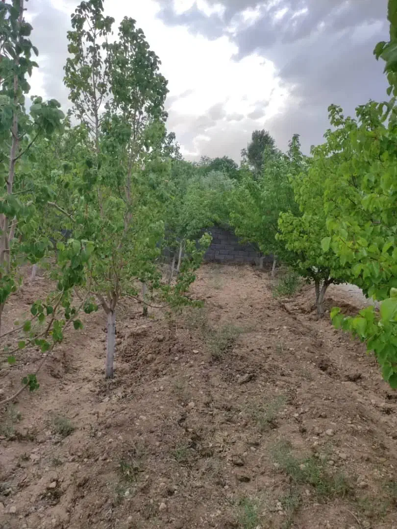 معاوض ویلاییوآپارتمان باضافه پول|فروش خانه و ویلا|زرندیه, |دیوار