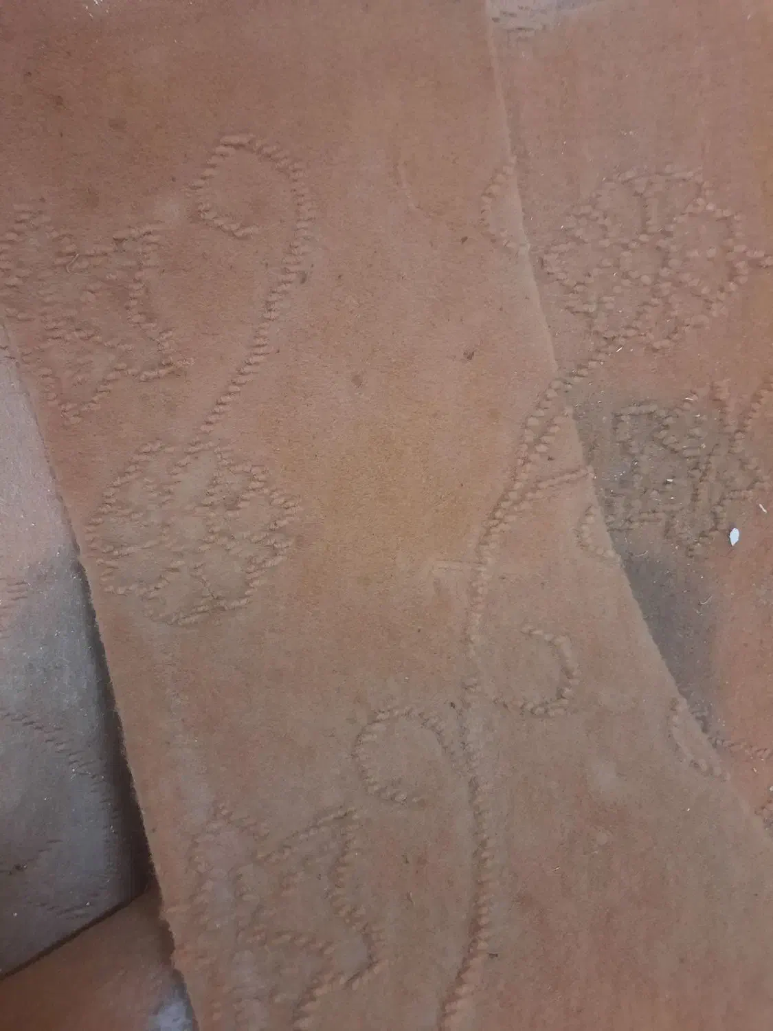 موکت شکلاتی و قرمز|موکت|مشهد, شهرآرا|دیوار