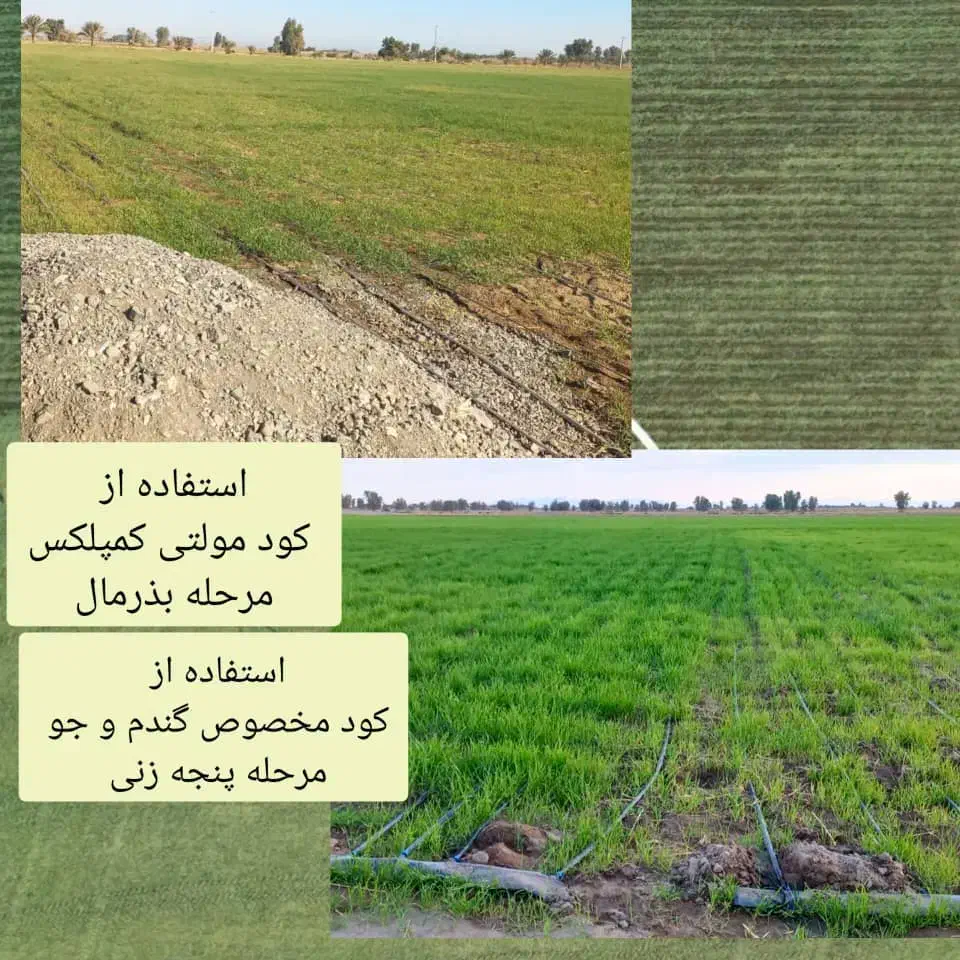 کود کشاورزی ارگانیک اصلی ووارداتی امریکا نانو|خدمات باغبانی و درختکاری|مشهد, دانشجو|دیوار