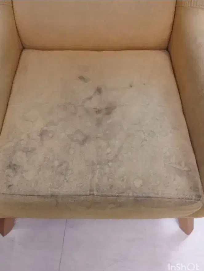 مبلشویی|خدمات نظافت|ساری, |دیوار