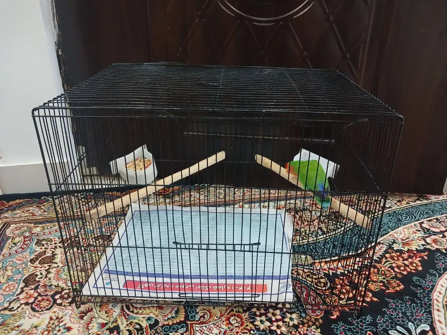 قفس مشکی بزرگ|لوازم جانبی حیوانات|رشت, حومه رشت|دیوار