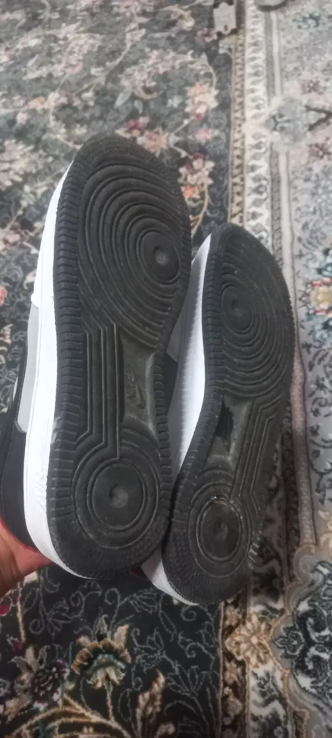 دو مدل کفش فروشی در حد|کیف، کفش، کمربند|سمنان, |دیوار