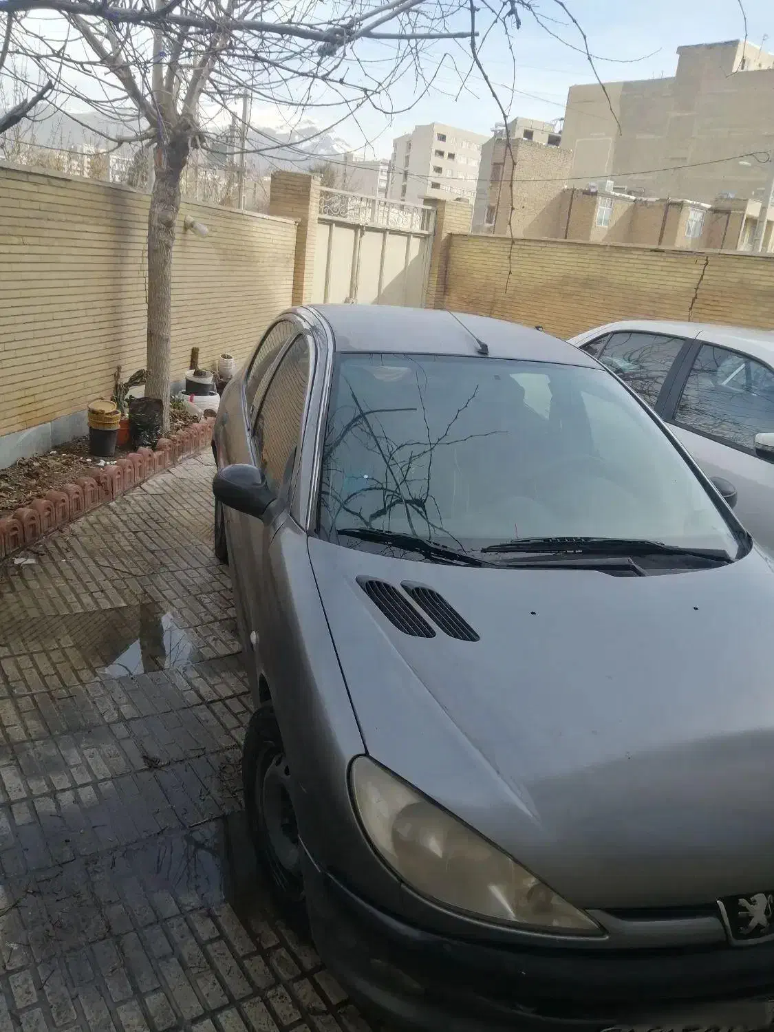 206مدل 89 شاسی پلمپ|خودرو سواری و وانت|کرج, باغستان|دیوار