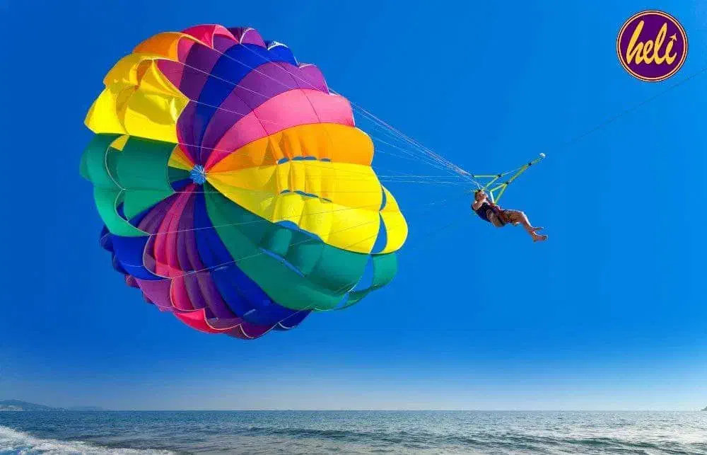 راهنمایی|فعالیت داوطلبانه|یزد, |دیوار