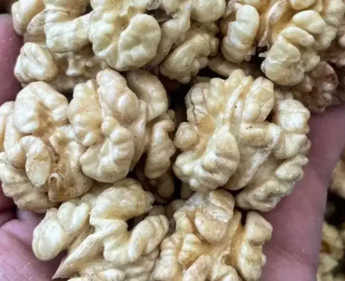 مغز گردو بادام پسته و بنه ،خلال گردو|خوردنی و آشامیدنی|شیراز, گلشن|دیوار