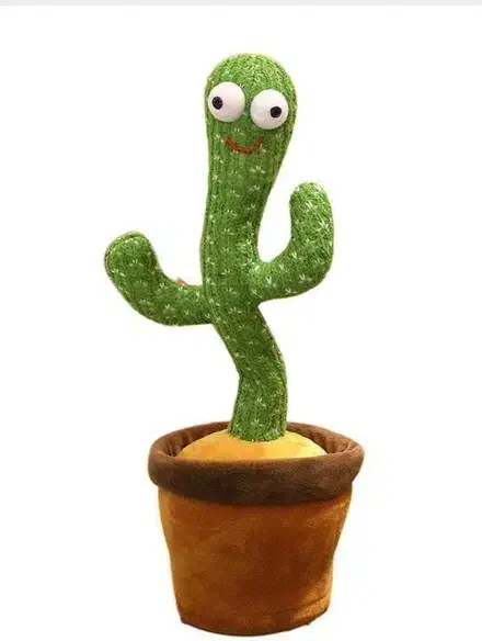 کاکتوس سخنگو|اسباب‌‌بازی|اندیمشک, |دیوار