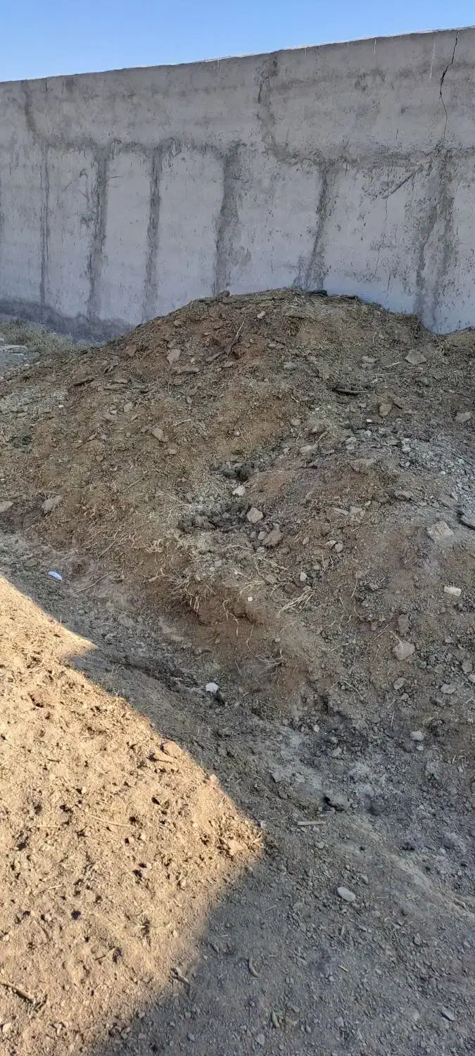 پگر گوسفندی|خدمات باغبانی و درختکاری|ساوه, |دیوار