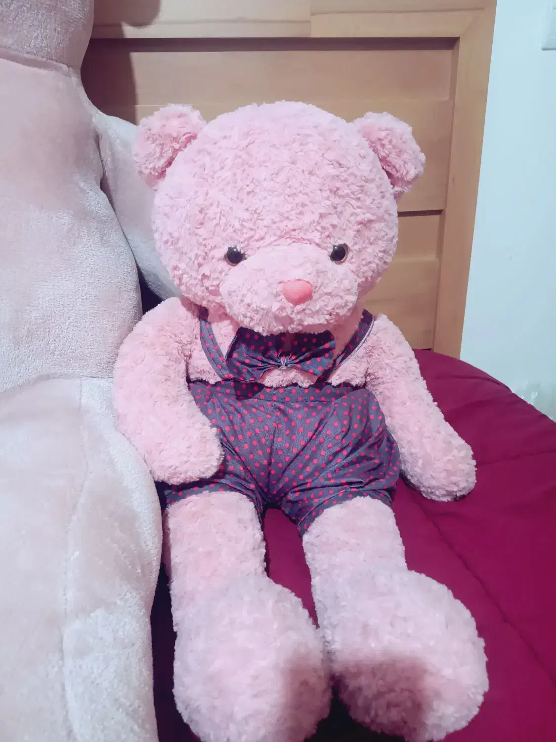 خرس پولیشی ۳سایز|اسباببازی|دامغان, |دیوار