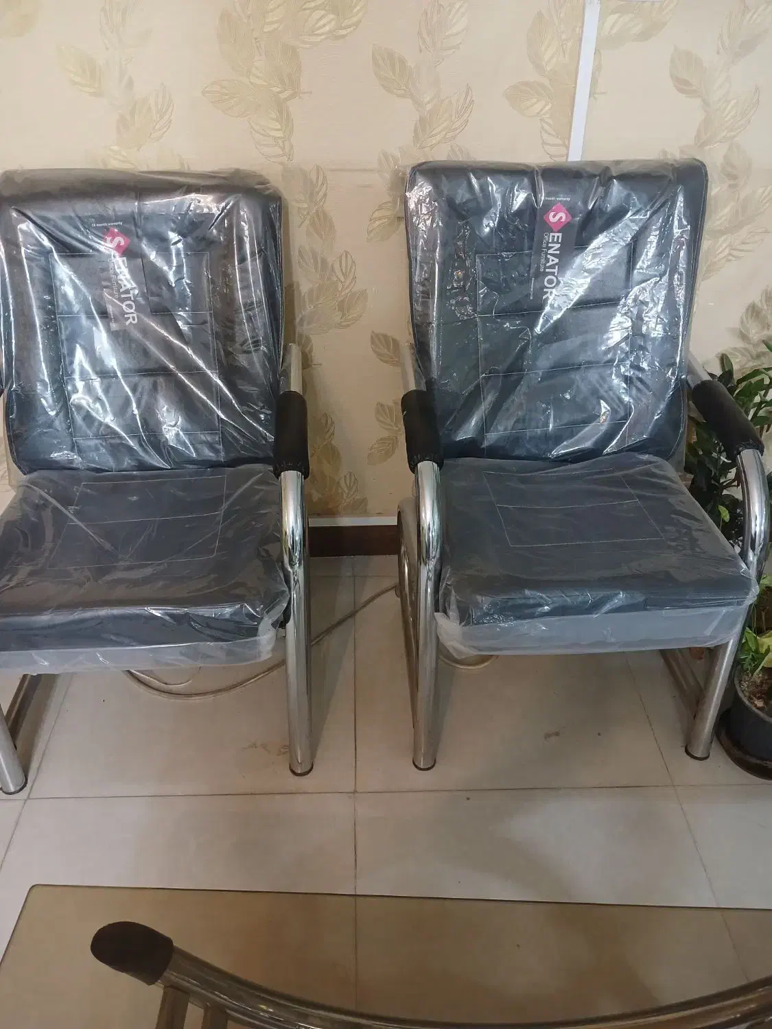 صندلی سناتور با ابر خشک ۱۳ سانتی|صندلی و نیمکت|قوچان, |دیوار