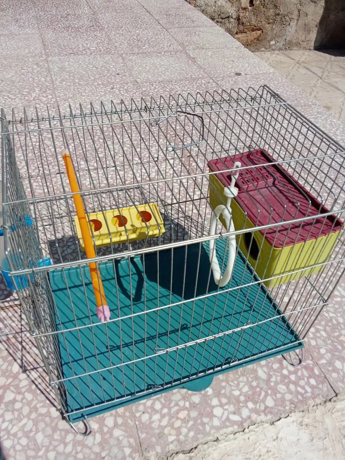 قفس پرنده|لوازم جانبی حیوانات|فیروزآباد (فارس), |دیوار
