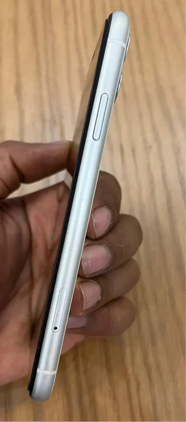 آیفون ۱۱|موبایل|بندرعباس, |دیوار