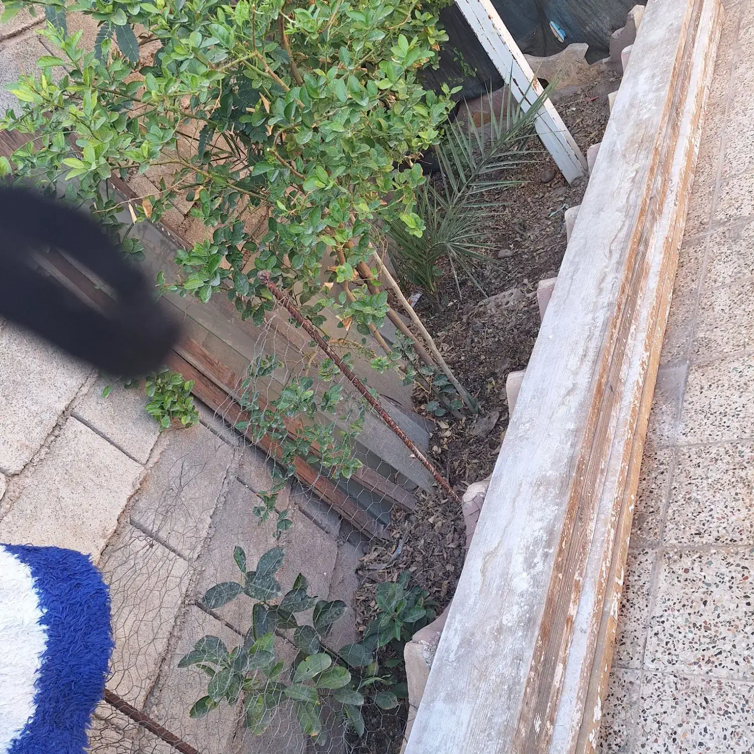 تخته بشکه بنای|ابزارآلات|دزفول, |دیوار