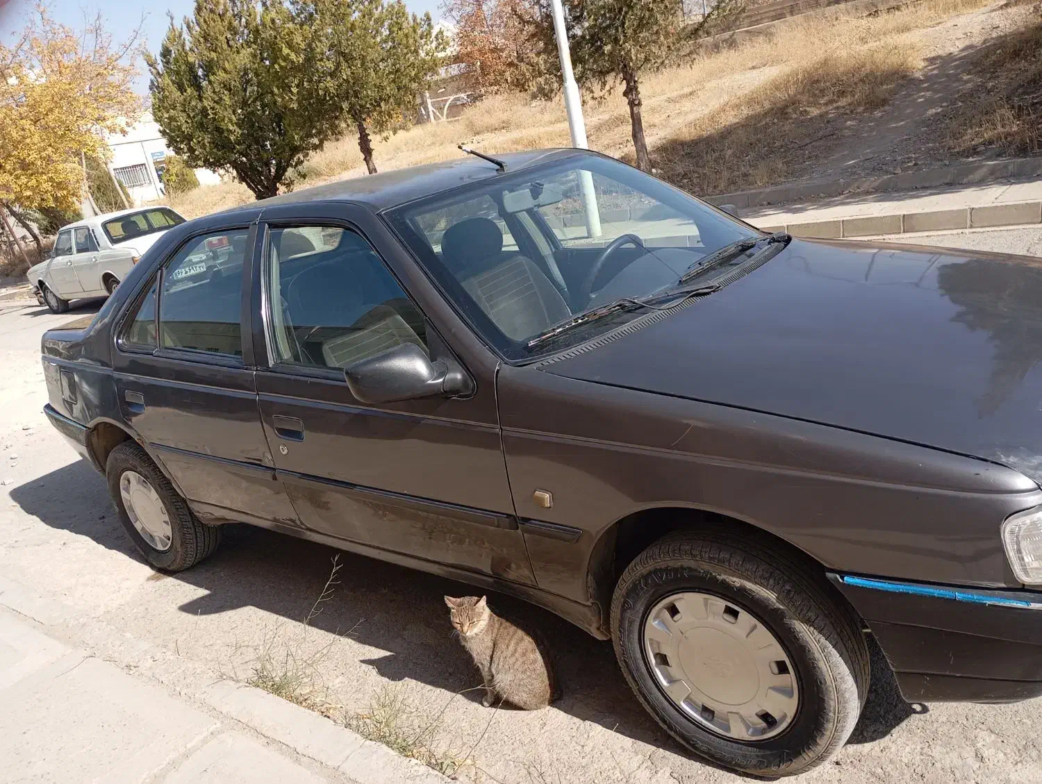 فروش ماشین روا دوگانه سوز کارخانه مدل۱۳۸۷|خودرو سواری و وانت|مهاباد (آذربایجان غربی), |دیوار