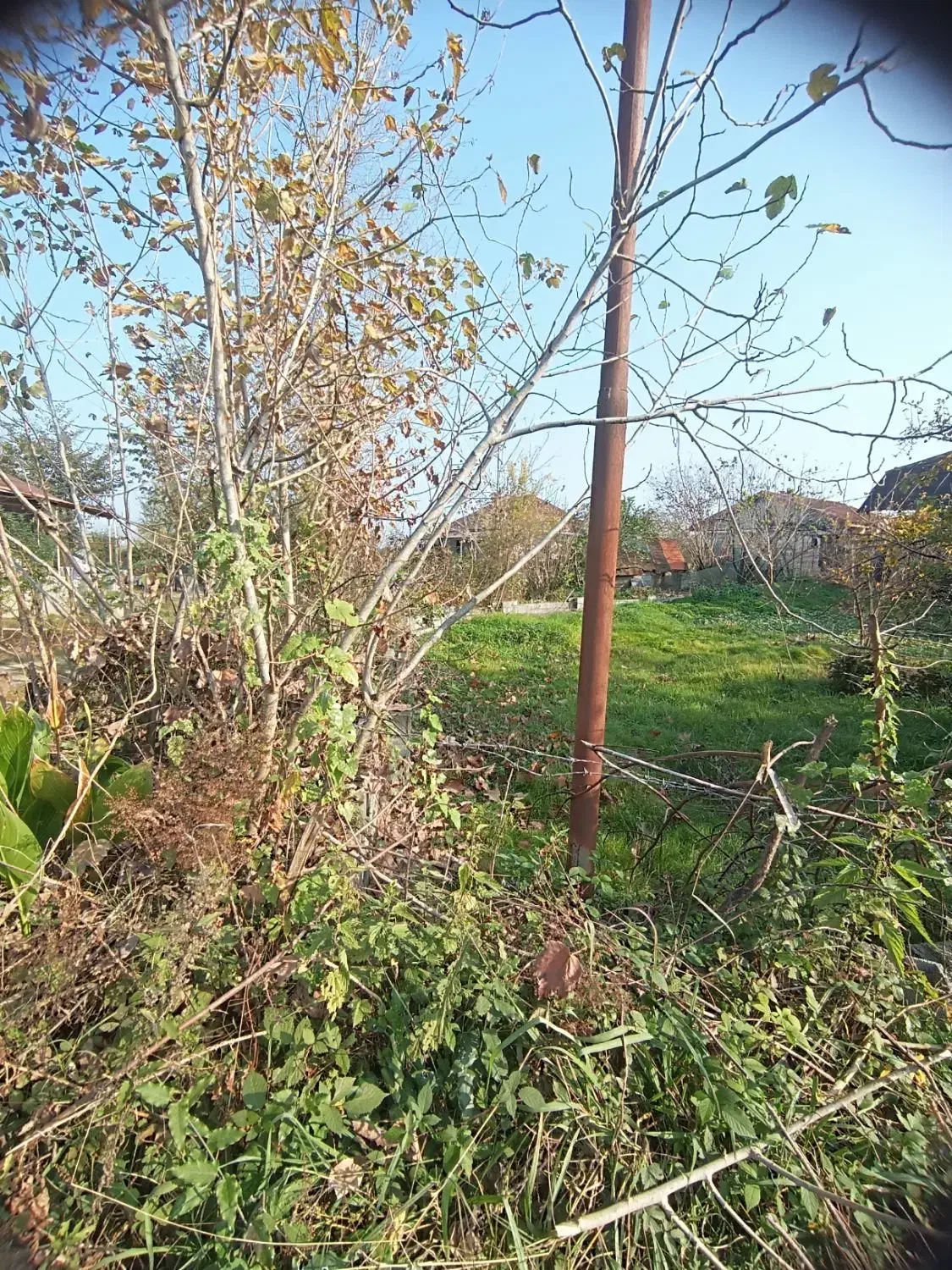زمین مسکونی ۳۰۰ متری لاهیجان سیاهکل سند پروانه|فروش زمین و ملک کلنگی|لاهیجان, کوه بیجار|دیوار