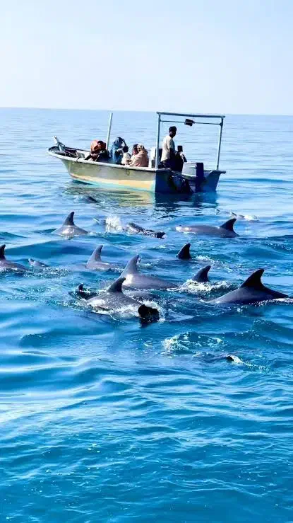 گشت جزیره. اجاره روزانه خودرو.|خدمات حمل و نقل|قشم, |دیوار