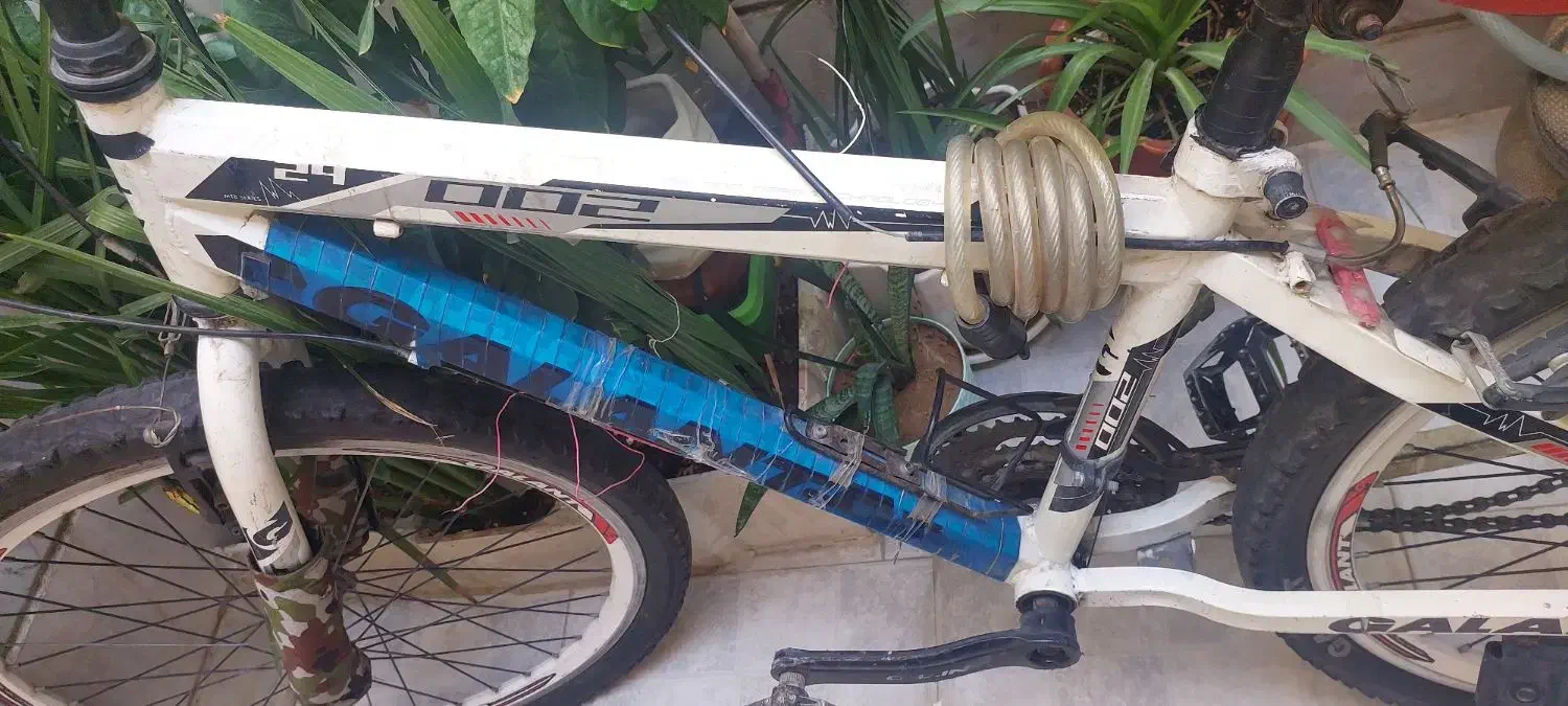 دوچرخه ۲۴ گالانت|دوچرخه، اسکیت، اسکوتر|ری, شهادت|دیوار