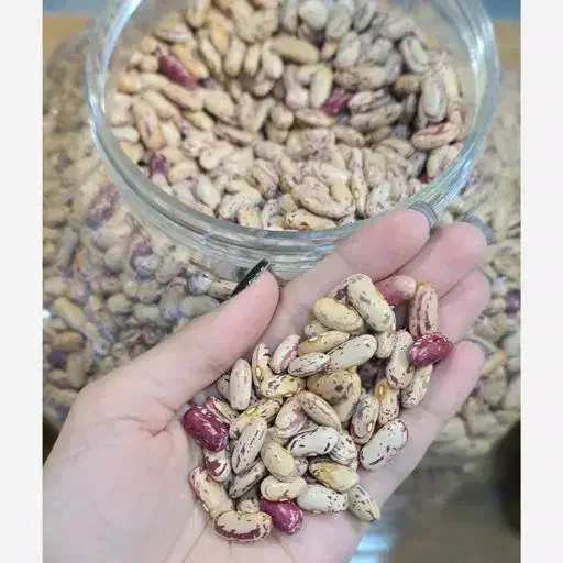 پاچ باقلا محلی امسال برای باقلاقاتوق|عمده‌فروشی|لاهیجان, لاشیدان|دیوار