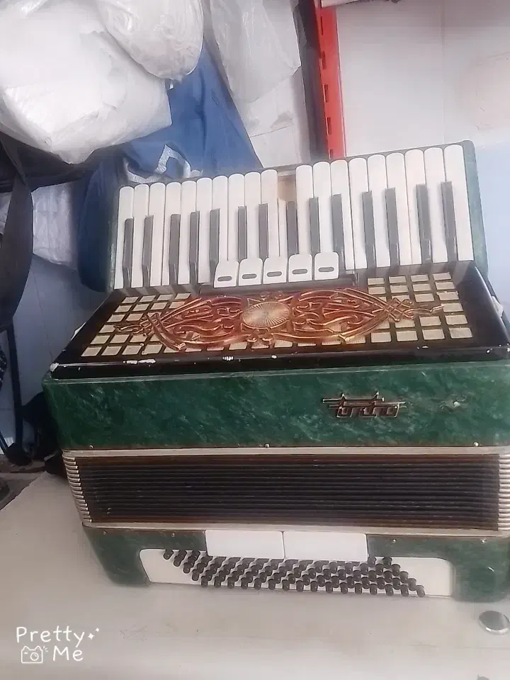 آکاردئون  روسی|پیانو، کیبورد، آکاردئون|تبریز, |دیوار